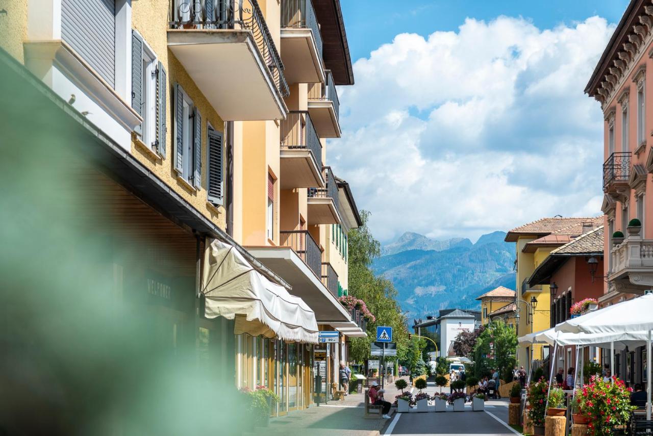 Cauriol Suites 1.1 Cavalese Zewnętrze zdjęcie
